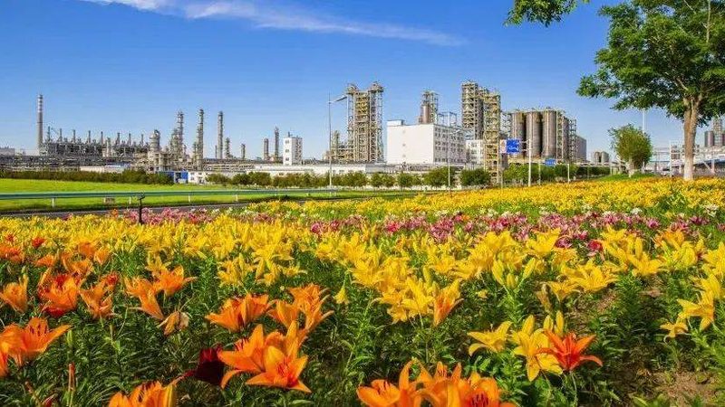 橡胶助剂分类及用途解析